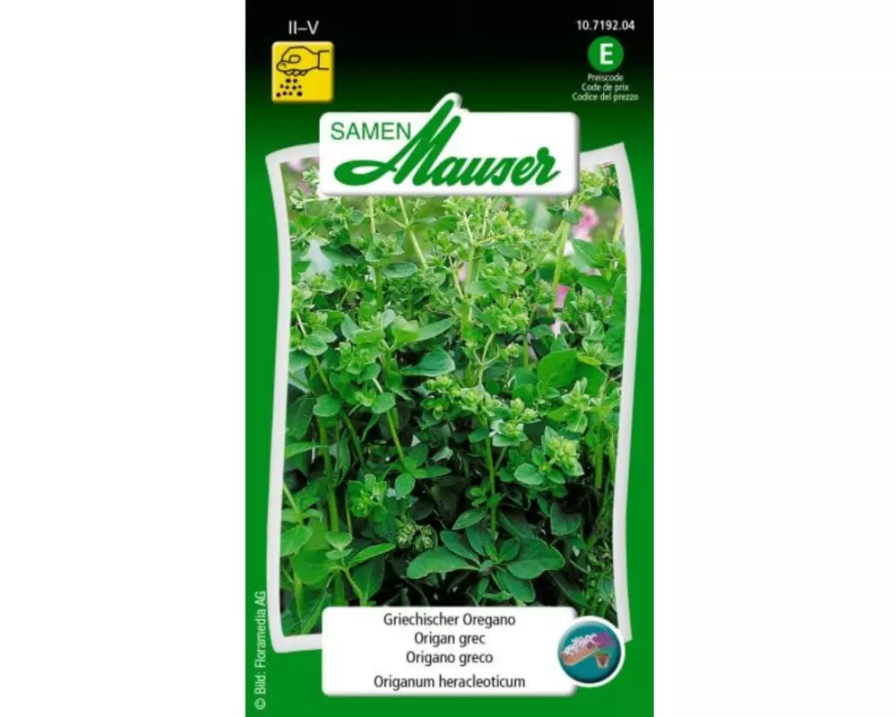 Samen Mauser Samen Griechischer Oregano