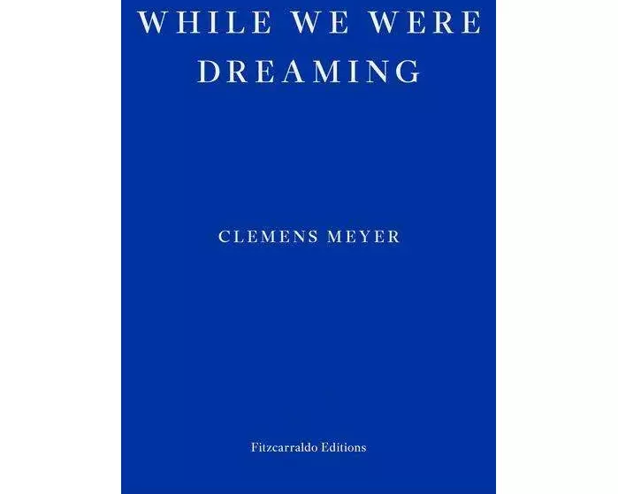 While We Were Dreaming