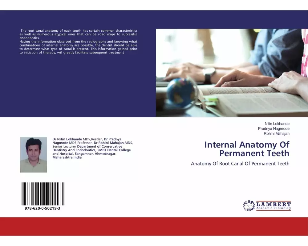 Internal Anatomy Of Permanent Teeth