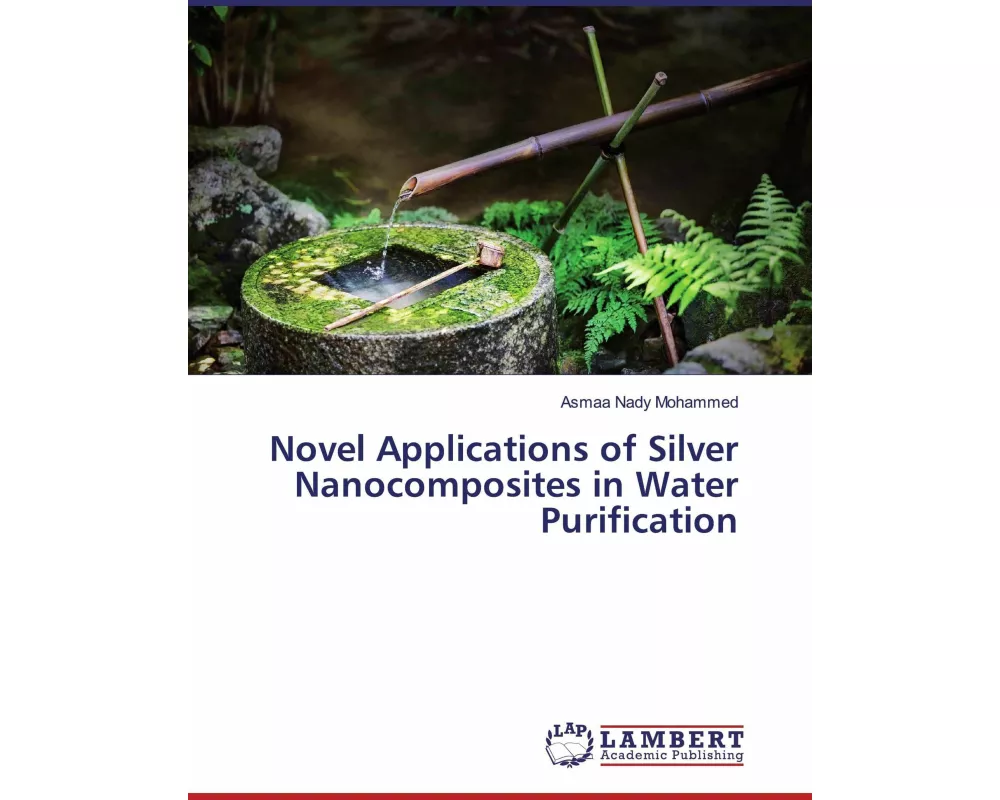 Novel Applications of Silver Nanocomposites in Water Purification
