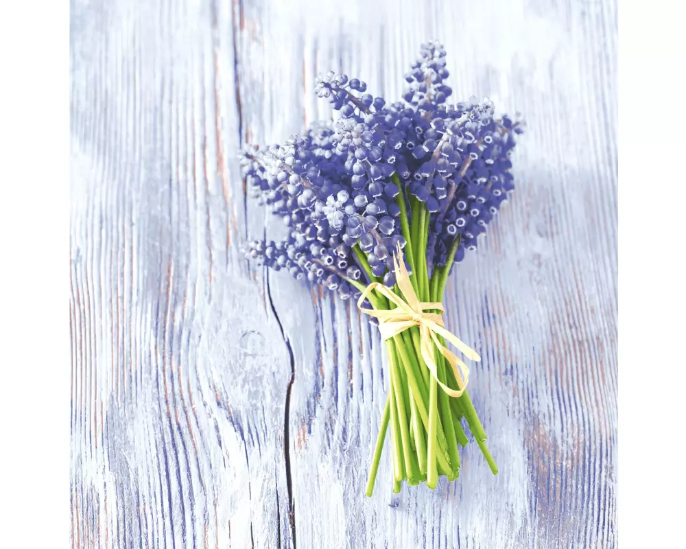 Paper + Design Papierservietten Muscari bundle 33 cm x 33 cm, 20 Stück