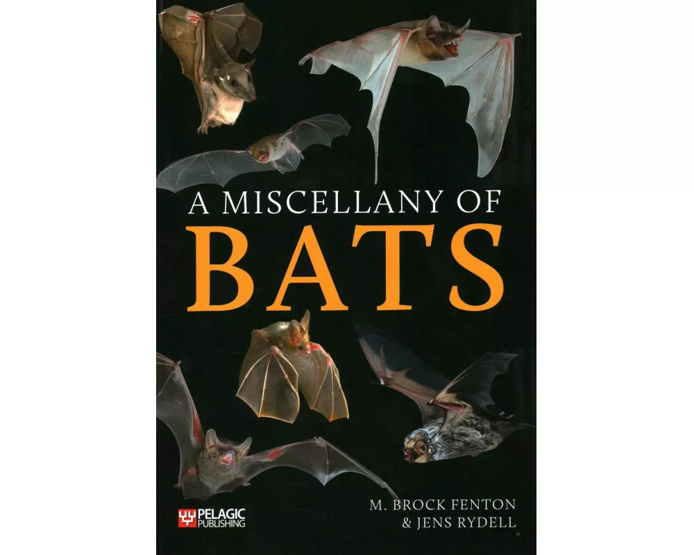 A Miscellany of Bats