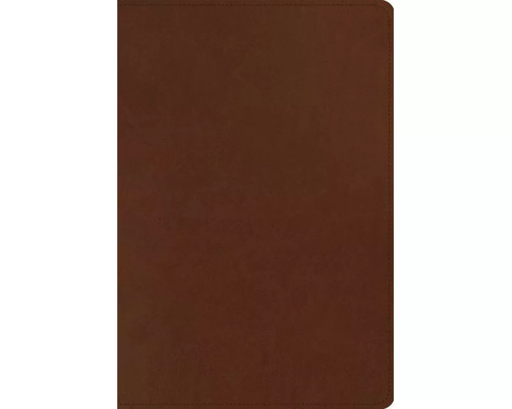 ESV Men's Study Bible