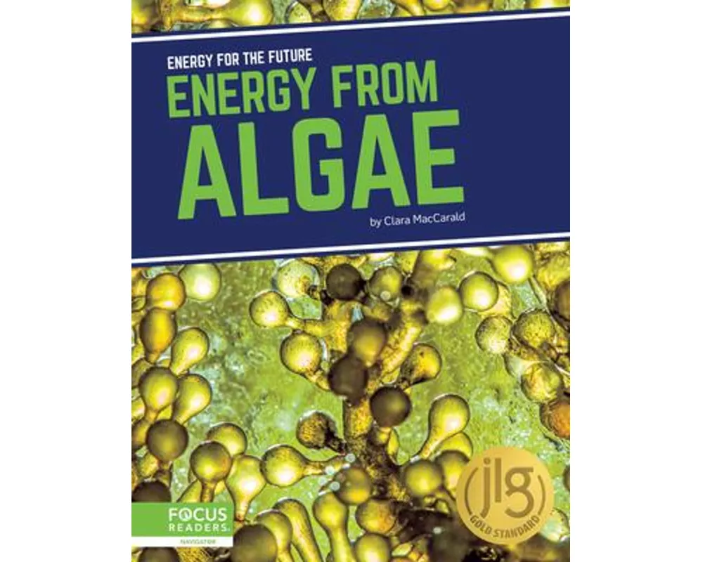Energy from Algae