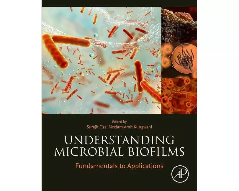 Understanding Microbial Biofilms