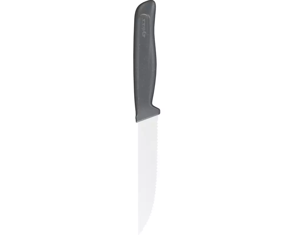Zyliss Steakmesser 11 cm, Schwarz/Silber