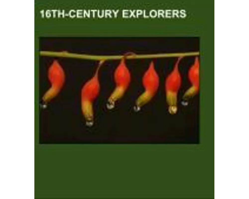 16th-Century Explorers