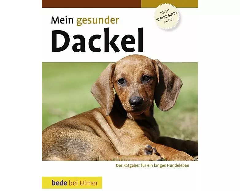 Mein gesunder Dackel