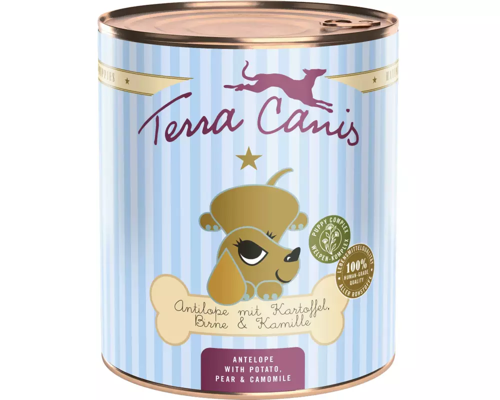 Terra Canis Nassfutter Welpe, Antilope mit Kartoffel, 800 g