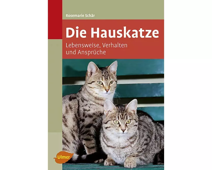 Die Hauskatze