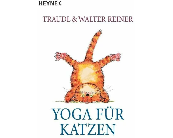Yoga für Katzen