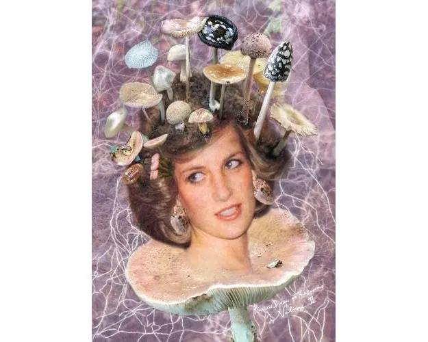 Princess Diana as Mushrooms Volume II