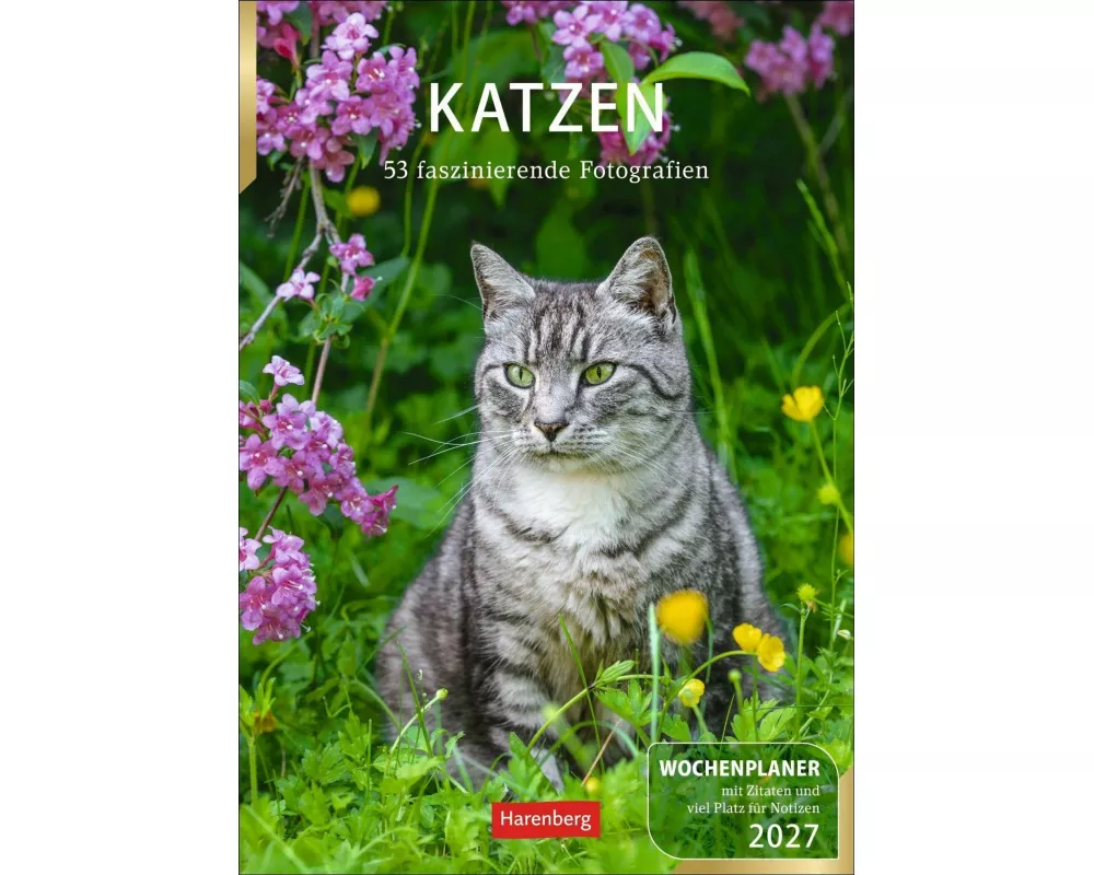 Katzen Wochenplaner 2027 - 53 faszinierende Fotografien