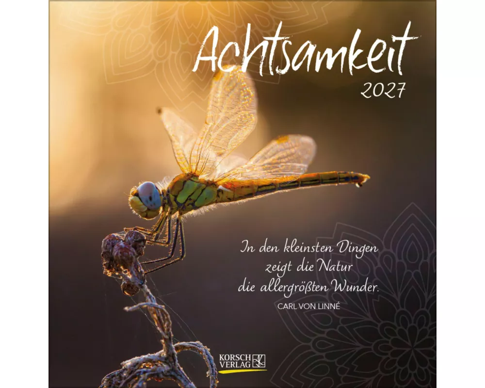Achtsamkeit 2027