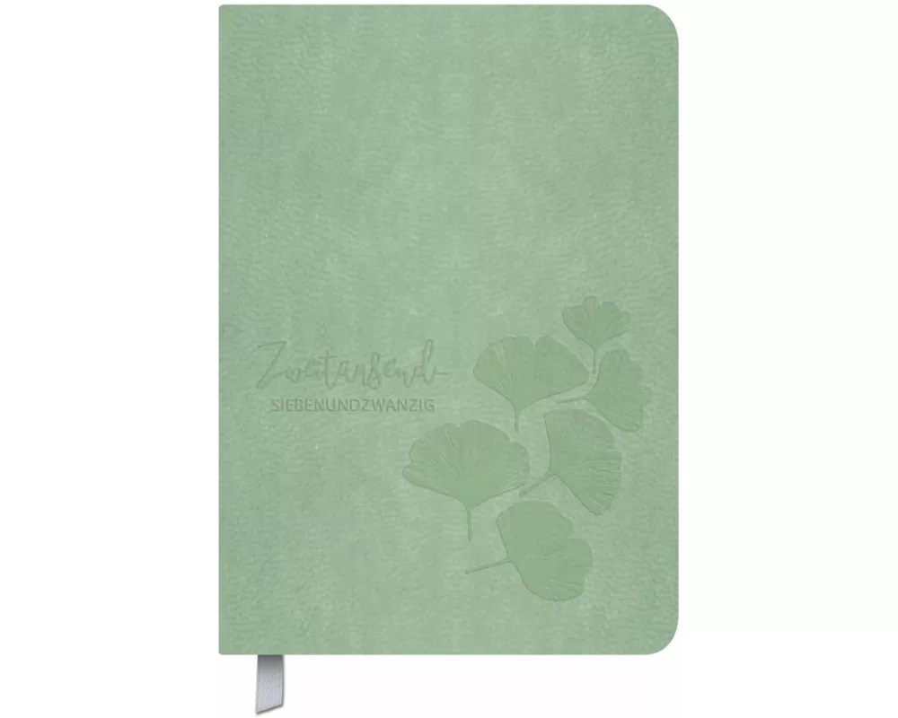 Timer Soft Touch 18 Monate jade 2027/2028