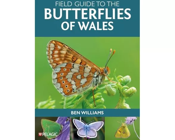 Field Guide to the Butterflies of Wales