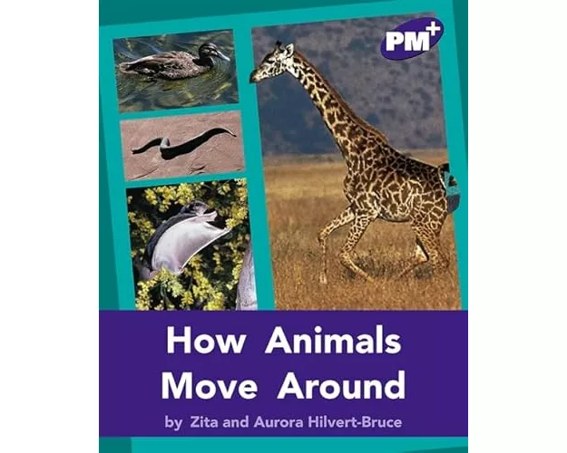How Animals Move Around