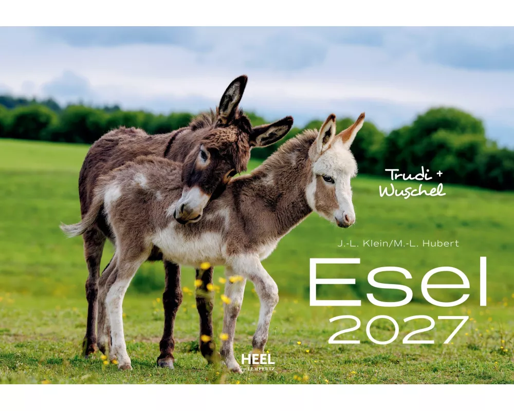 Esel Kalender 2027