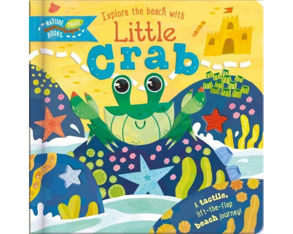 Explore the Beach with Little Crab