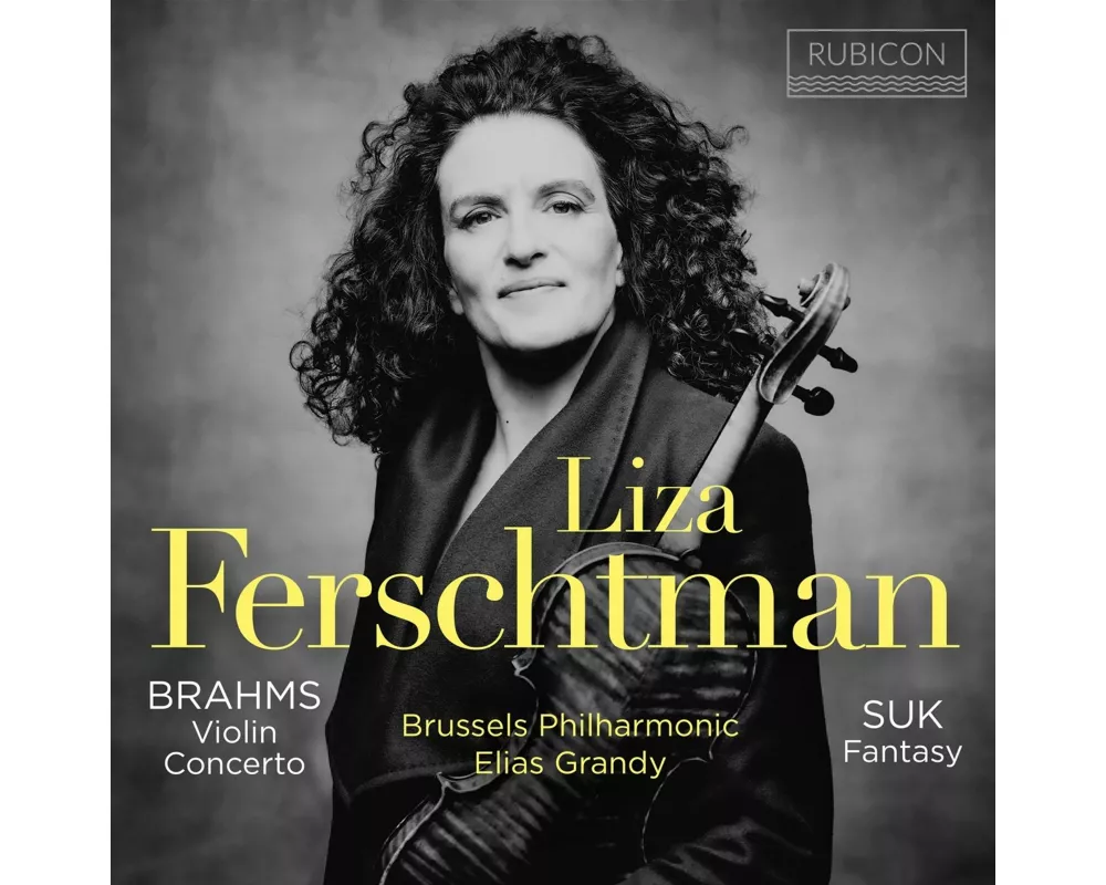 Brahms: Violin Concerto - Suk: Fantasy