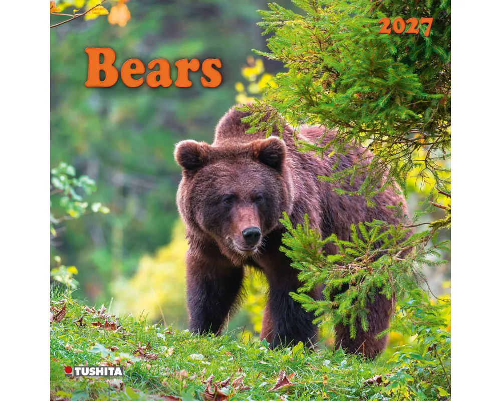 Bears 2027
