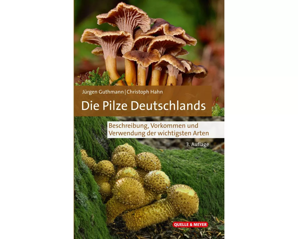 Die Pilze Deutschlands