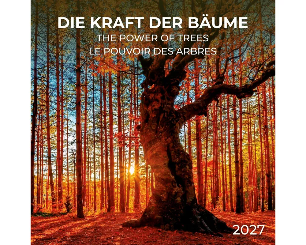 Die Kraft der Bäume / The Power of Trees 2027