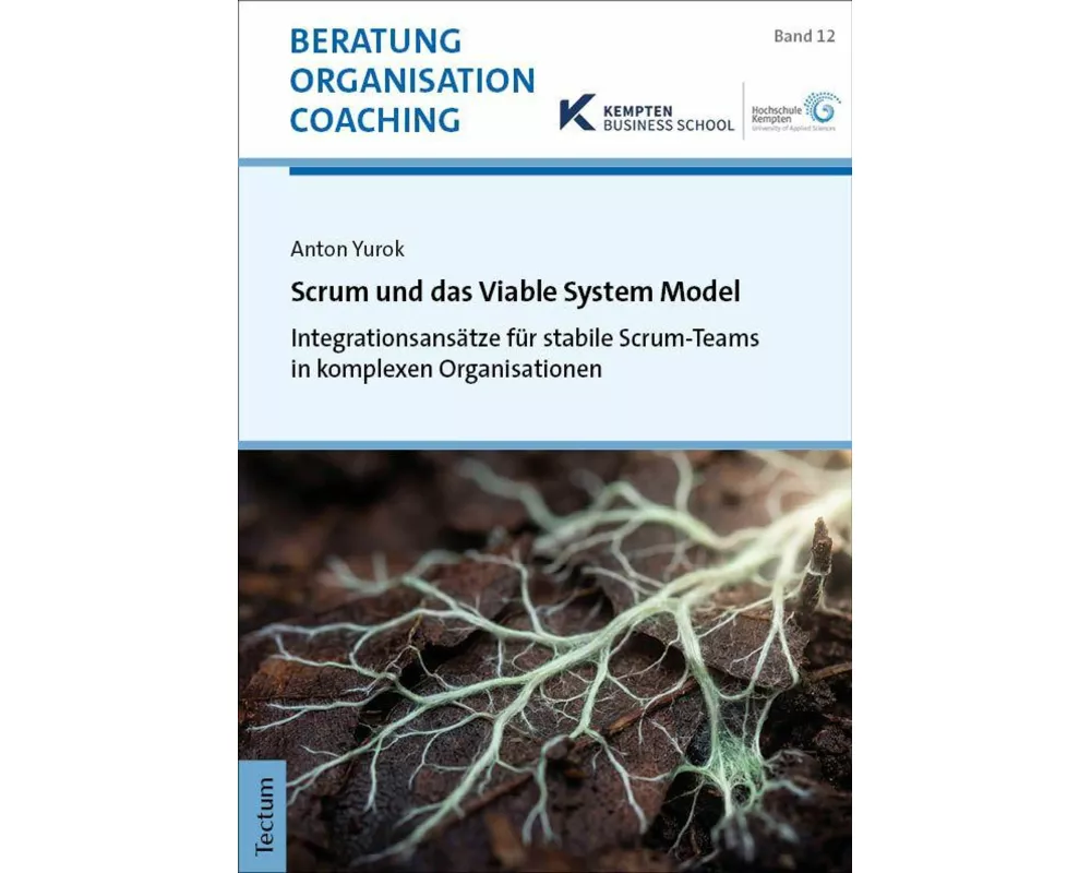Scrum und das Viable System Model