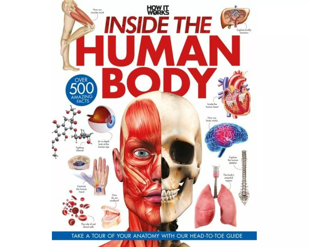 Inside the Human Body