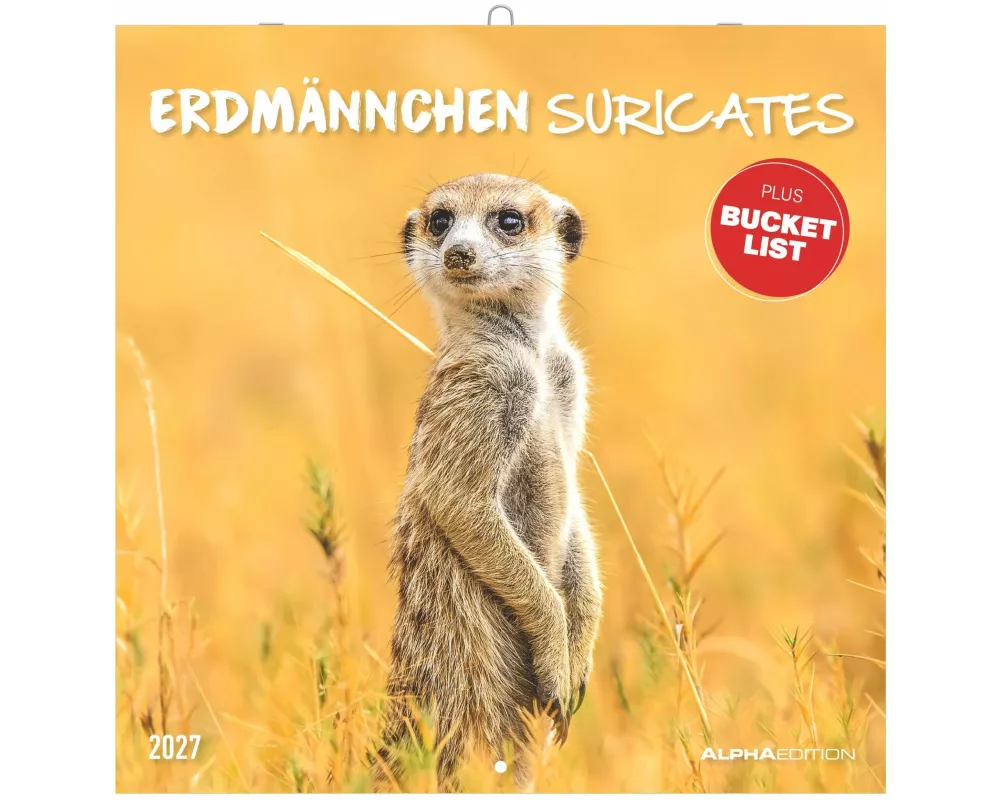 Erdmännchen 2027