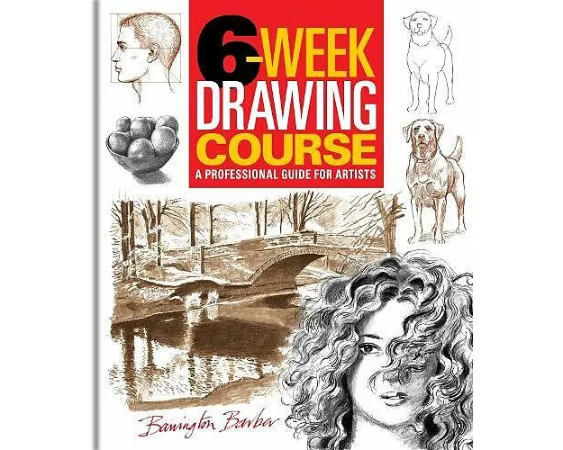 6-Week Drawing Course