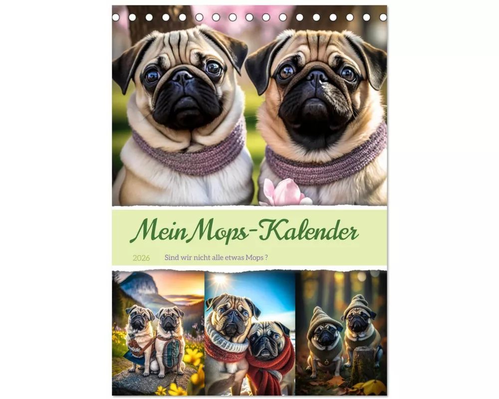 Mein Mops-Kalender (Tischkalender 2026 DIN A5 hoch), CALVENDO Monatskalender