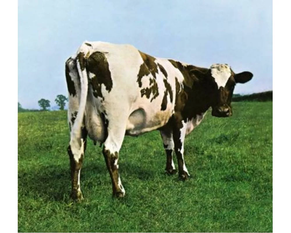 Atom Heart Mother