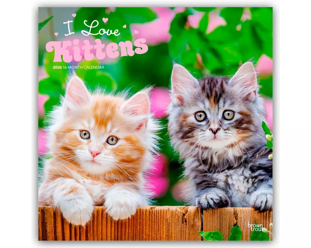 I Love Kittens 2026 12 X 24 Inch (Hanging) Monthly Square Wall Calendar Plastic-Free