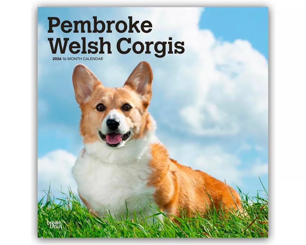 Pembroke Welsh Corgis 2026 12 X 24 Inch (Hanging) Monthly Square Wall Calendar Plastic-Free