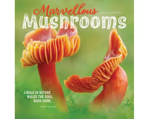 Marvellous Mushrooms Square Wall Calenda