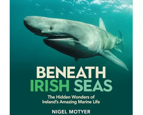 Beneath Irish Seas