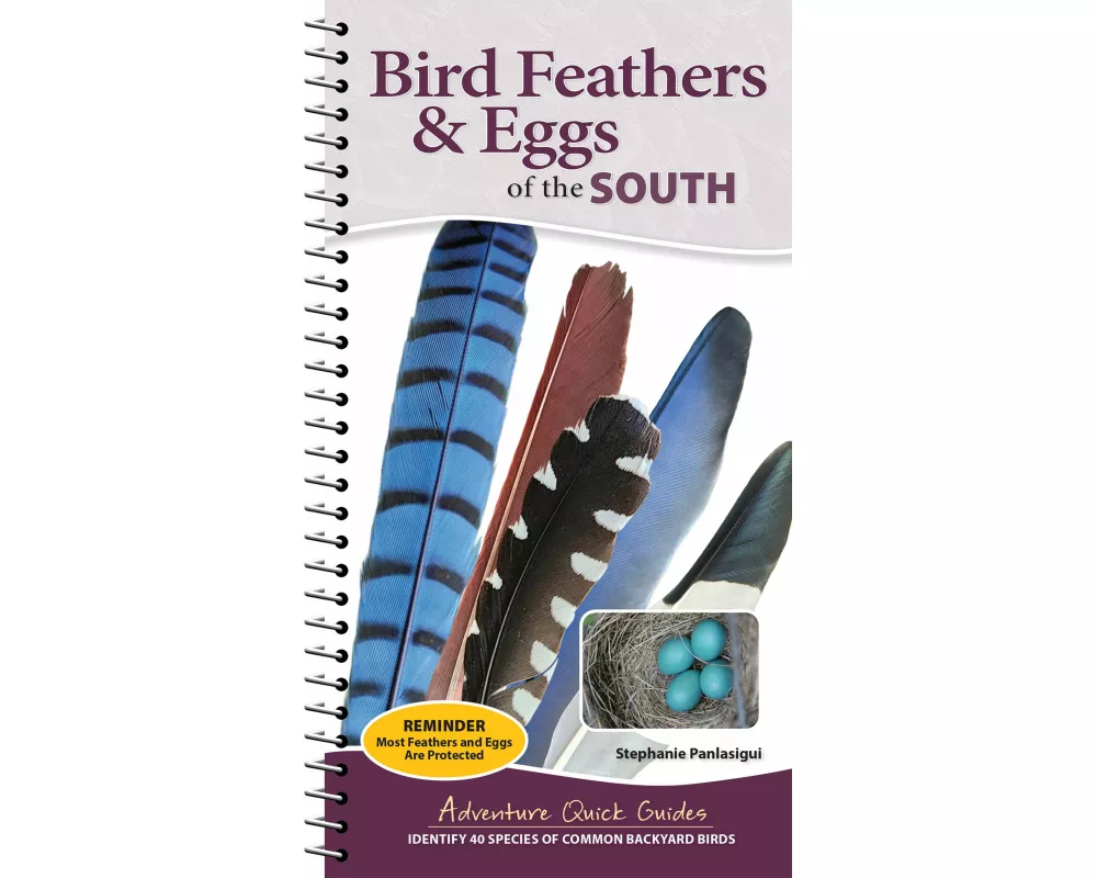Bird Feathers & Eggs of the South