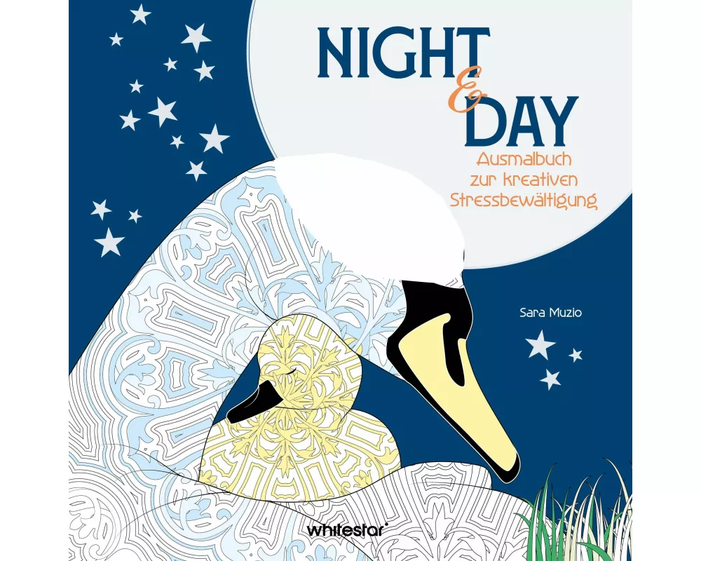 Night & Day