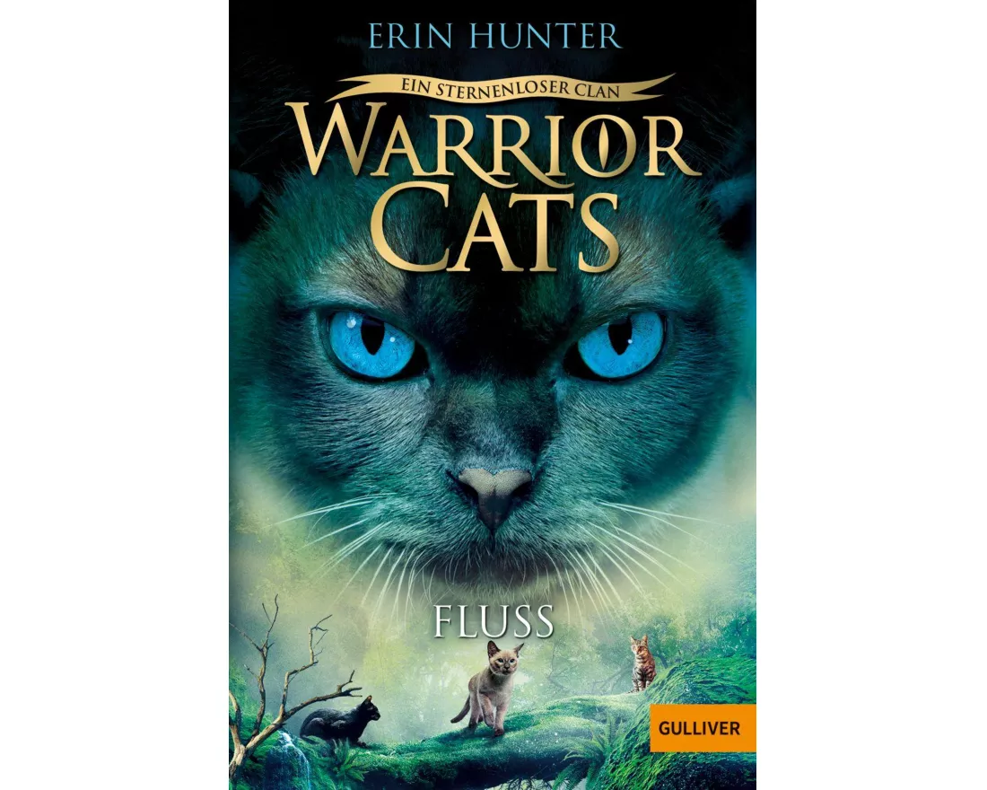 Warrior Cats - Ein sternenloser Clan. Fluss