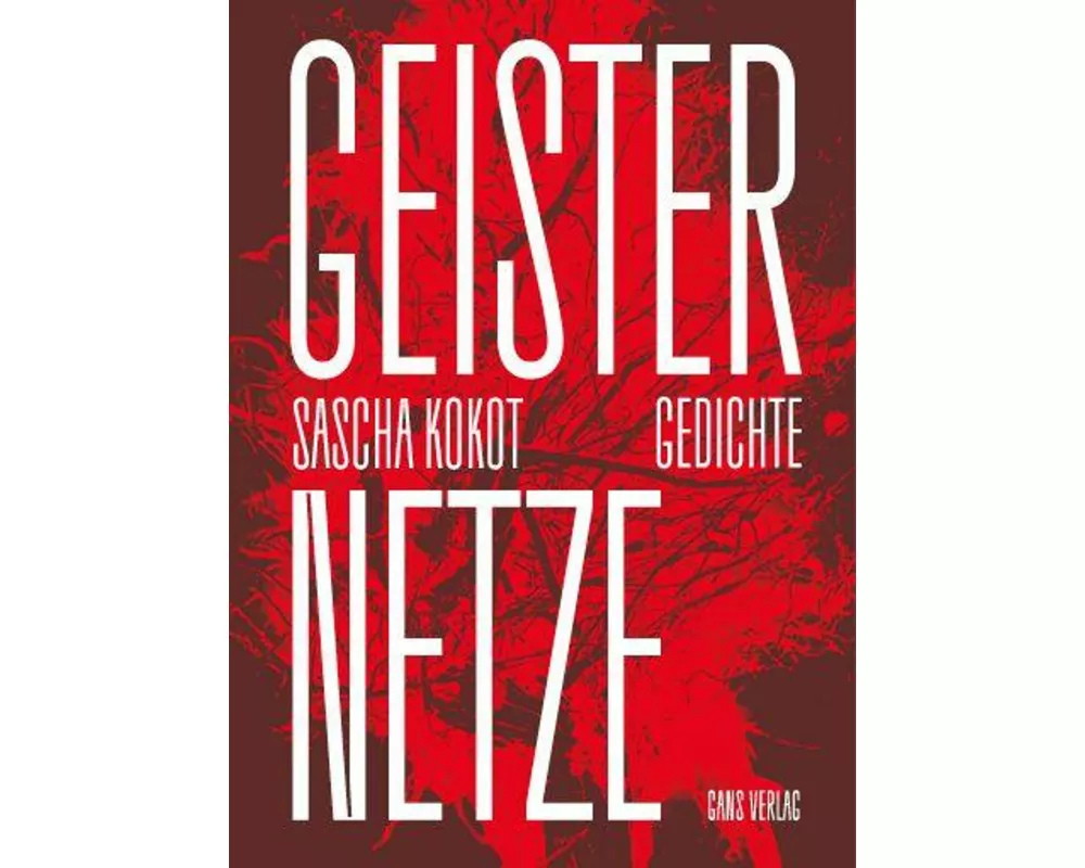 Geisternetze