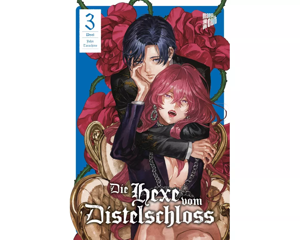 Die Hexe vom Distelschloss 3