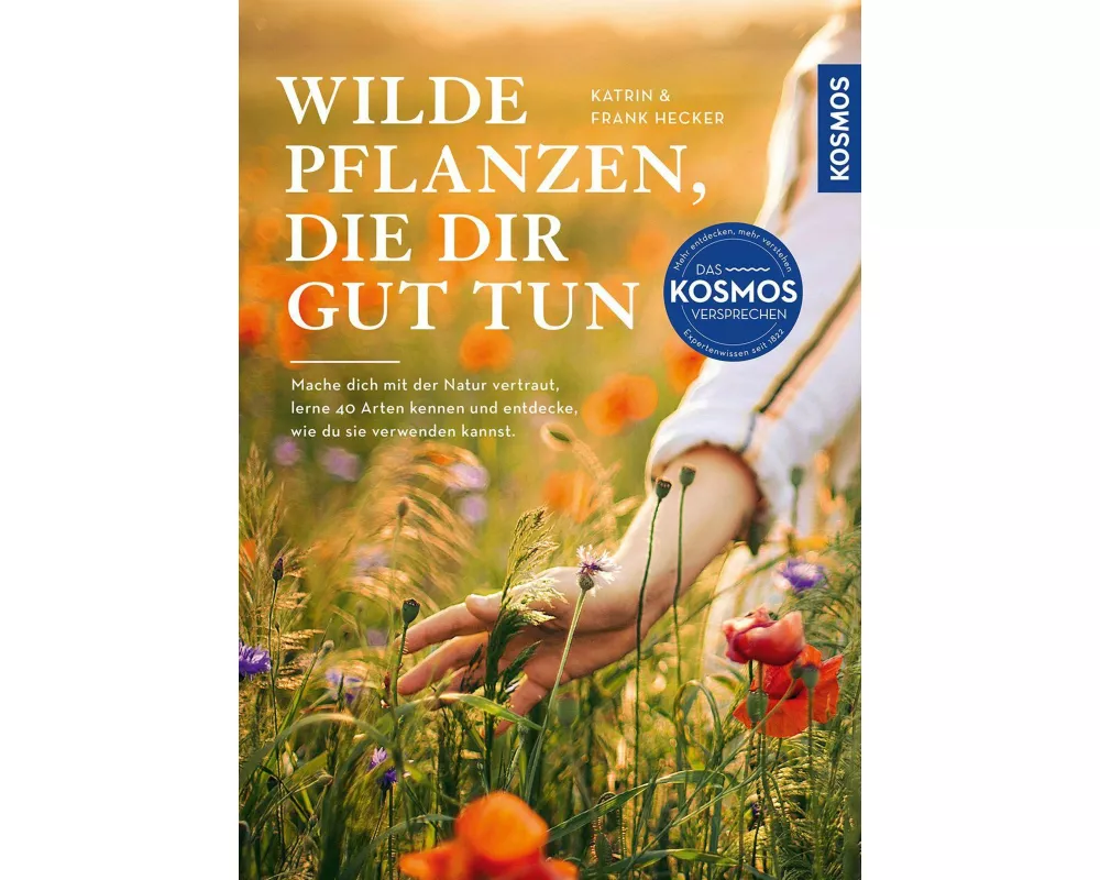 Wilde Pflanzen, die dir gut tun