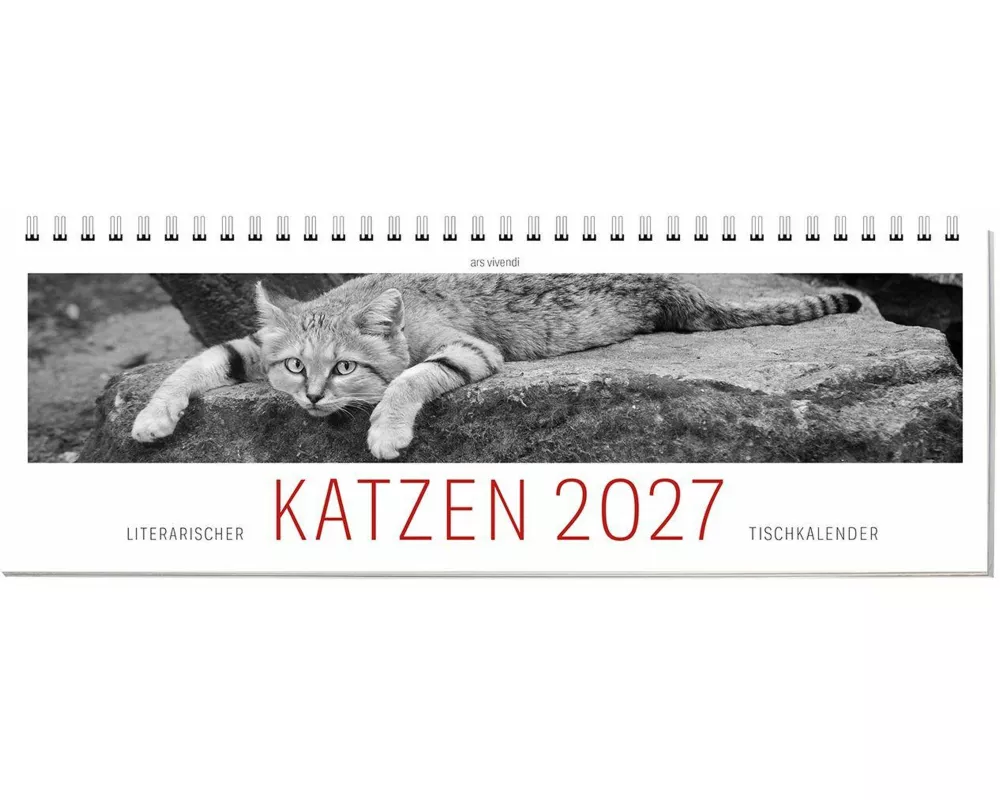 Tischkalender Katzen 2027