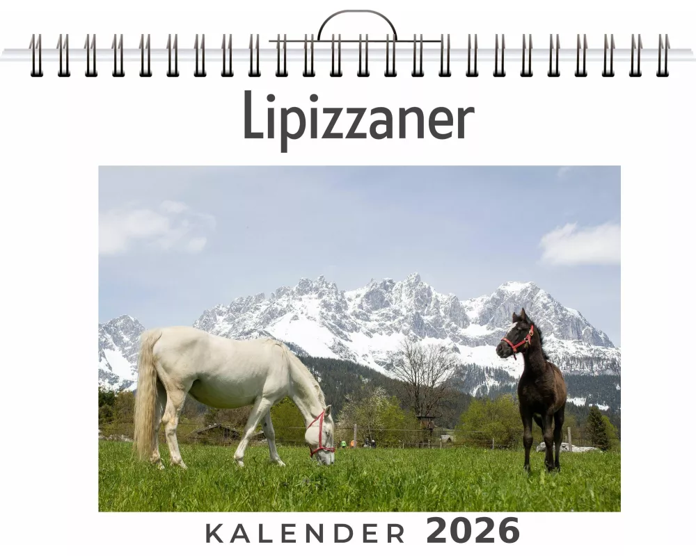 Lipizzaner
