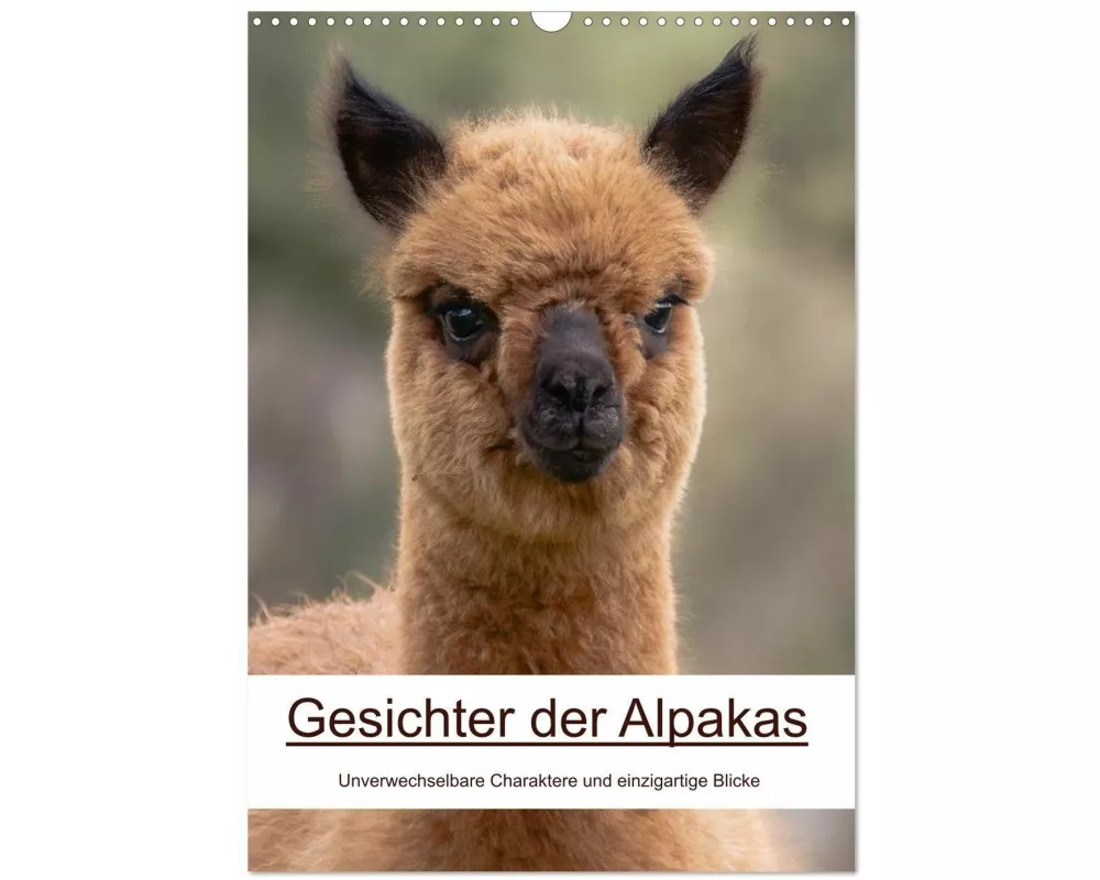 Gesichter der Alpakas - Unverwechselbare Charaktere und einzigartige Blicke (Wandkalender 2026 DIN A3 hoch), CALVENDO Monatskalender