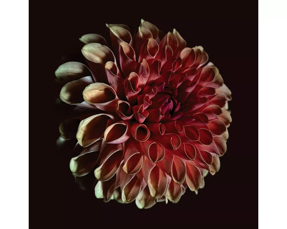 Unfolding