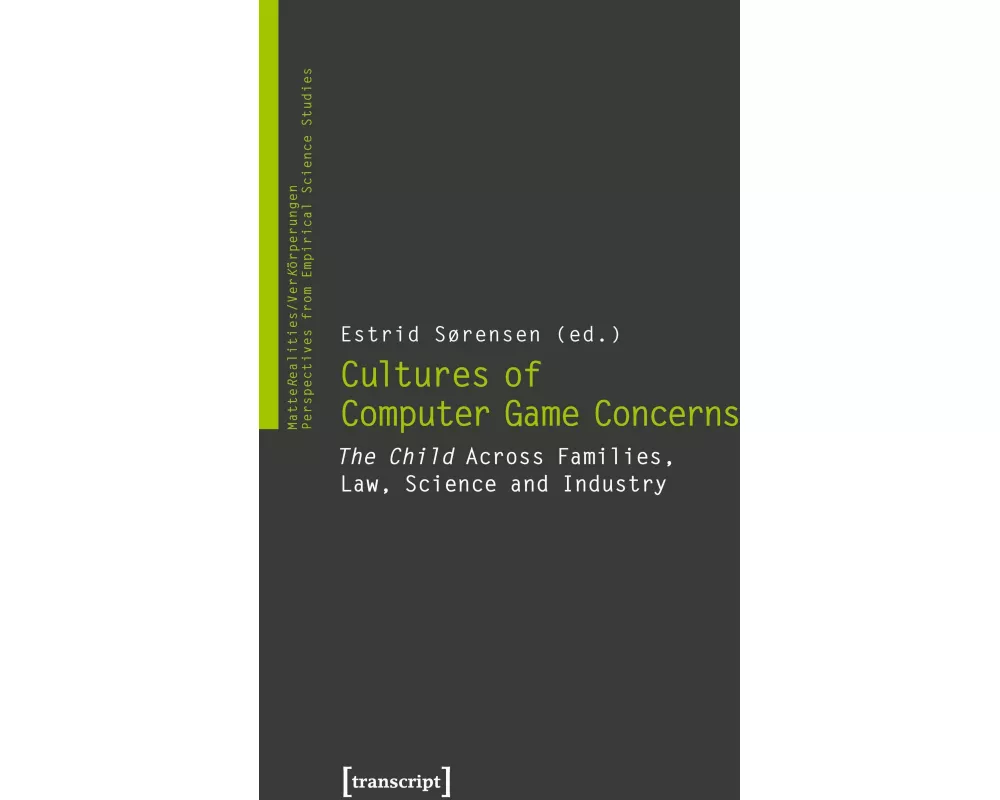 Cultures of Computer Game Concerns