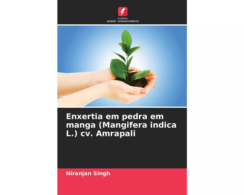 Enxertia em pedra em manga (Mangifera indica L.) cv. Amrapali