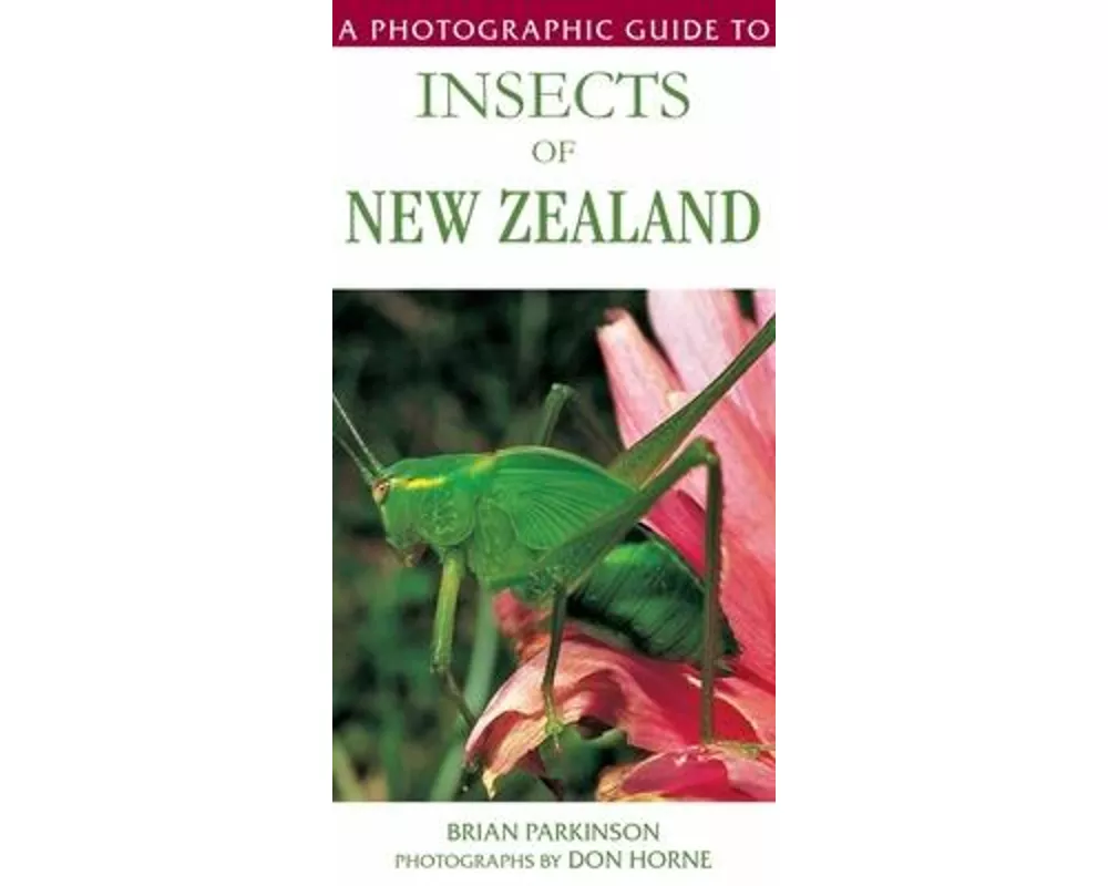 A Photographic Guide to Insects of New Zealand